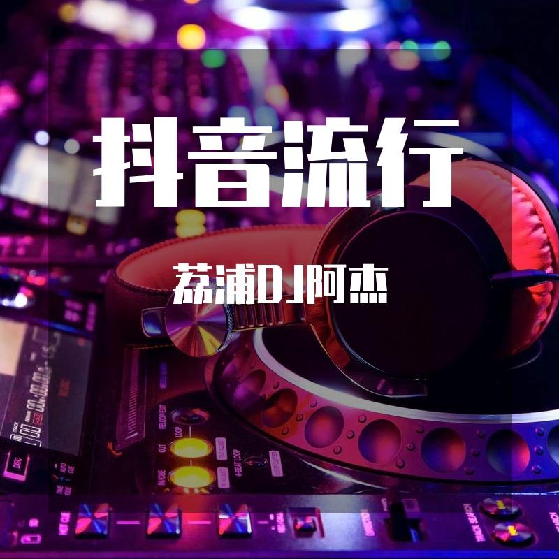 荔浦DJ阿杰2023年9月打造荔浦十三区音乐空间重鼓节奏抖音流行专辑NO4