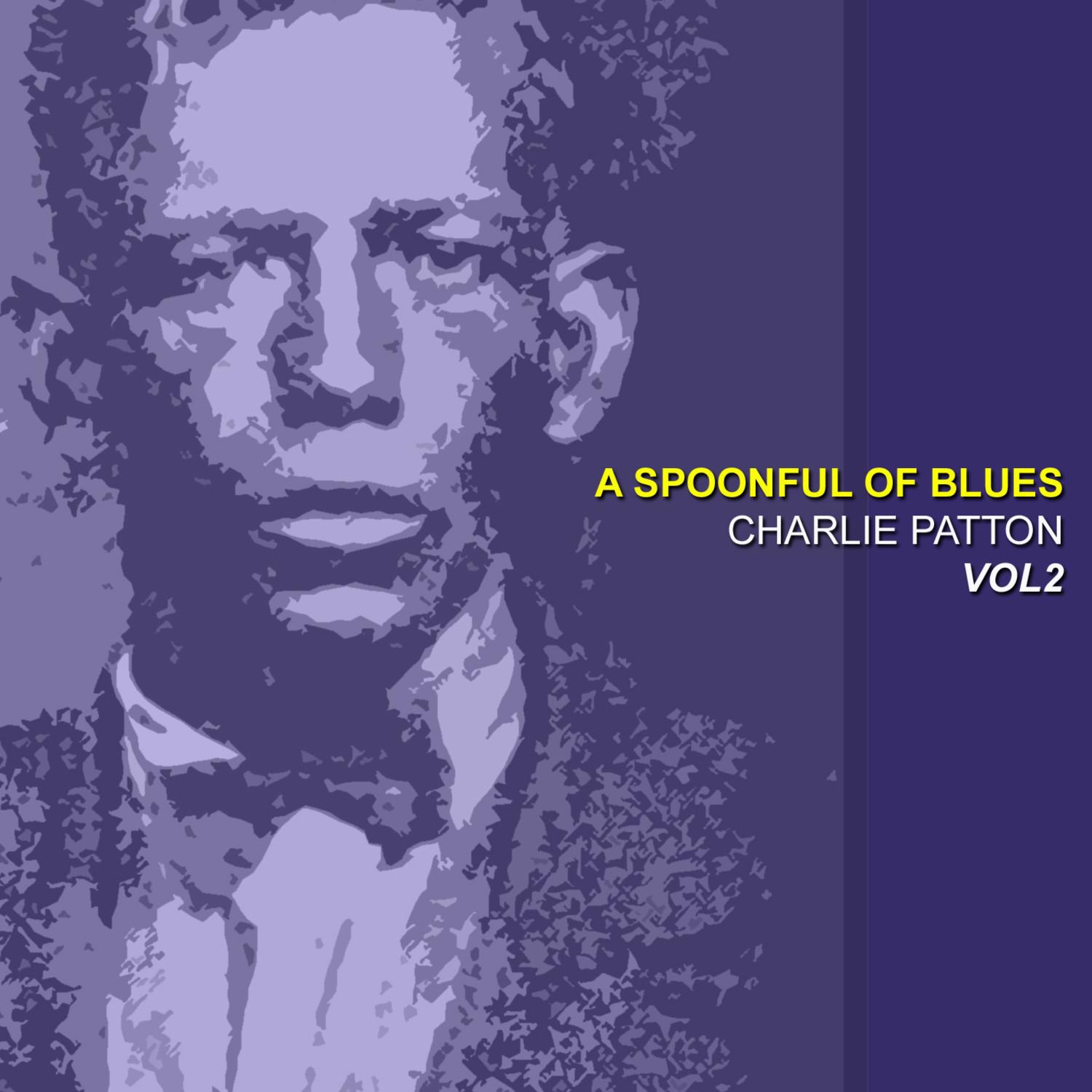 A Spoonful Blues Vol 2