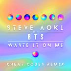 专辑《Waste It On Me (Cheat Codes Remix)》