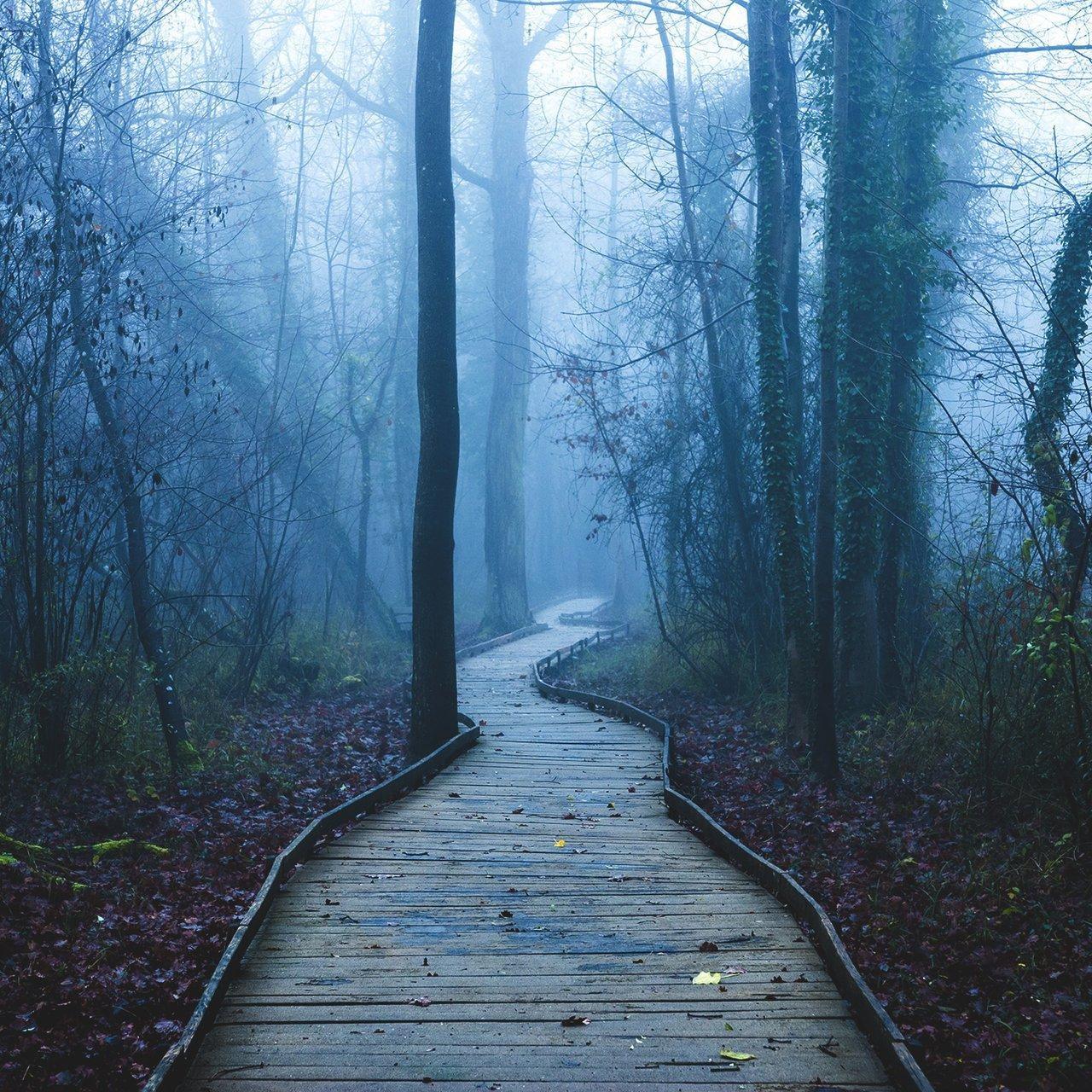 竹林箫声（洞箫） | 在线播放 | 网易云音乐