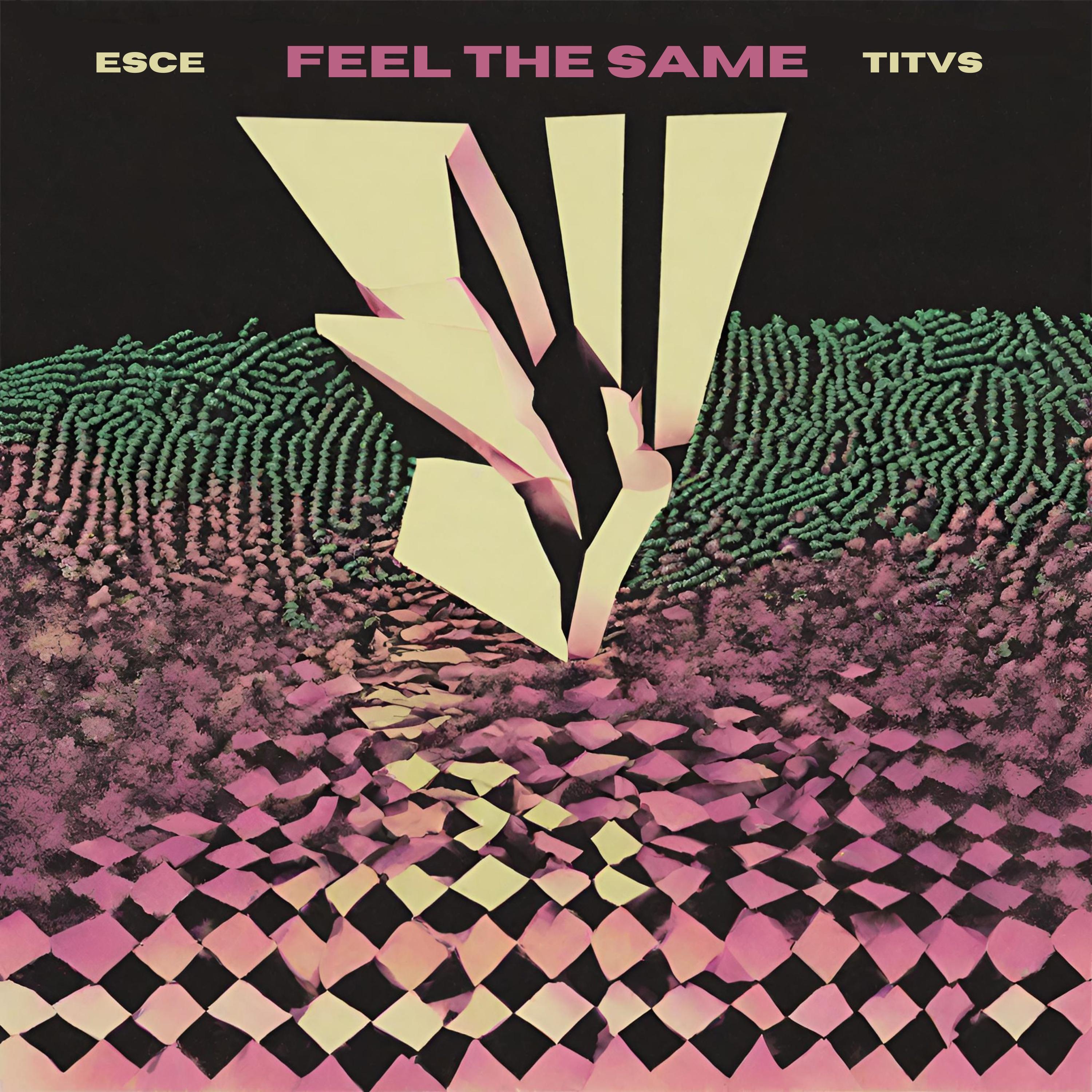 Feel The Same (Extended Mix)