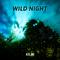 Wild Night专辑