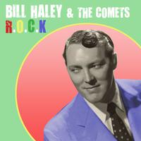 Bill Haley & The Comets - See You Later Alligator (PT karaoke) 带和声伴奏