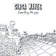 Something Like You