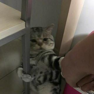 伤心的事要藏在心里