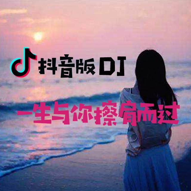 一生与你擦肩而过（抖音版）