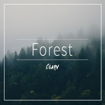 Forest专辑