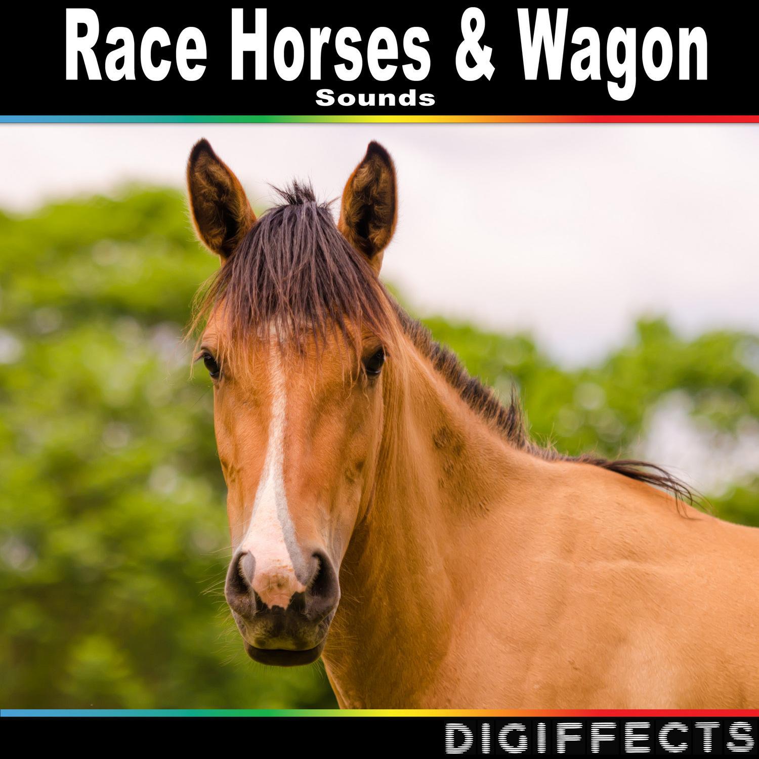 Race Horses & Wagon Sounds专辑