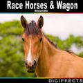 Race Horses & Wagon Sounds