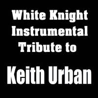 Keith Urban - Rollercoaster (instrumental)