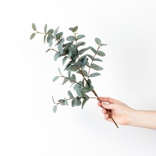 爱而不得   忘而不舍