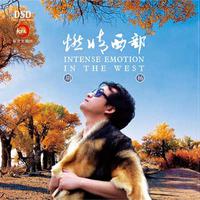 黄水泉 - 山里的姑娘(原版立体声伴奏)
