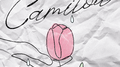 Camilou专辑