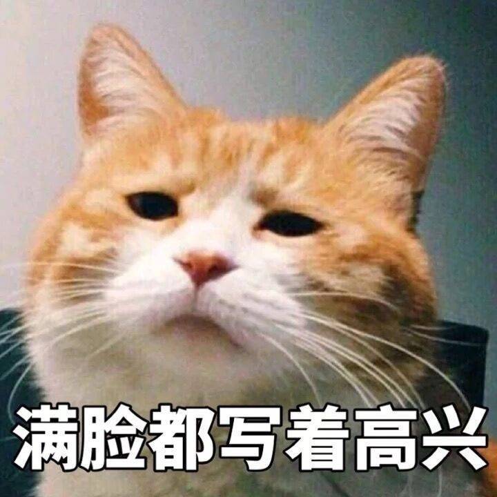 烂心情专辑