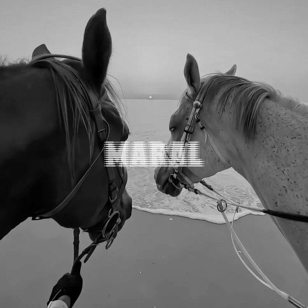 maral（Original Mix）