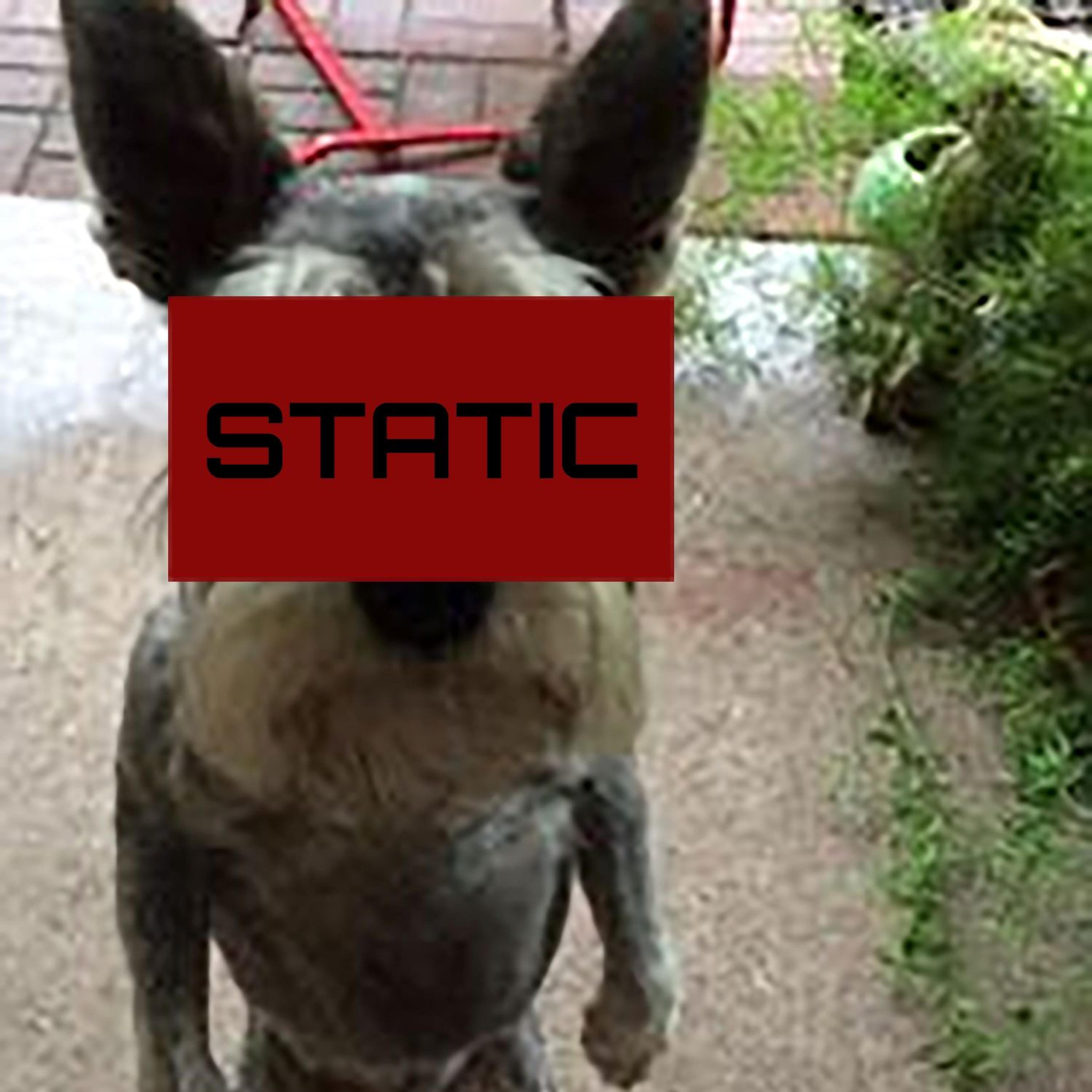 Static, Vol. 1