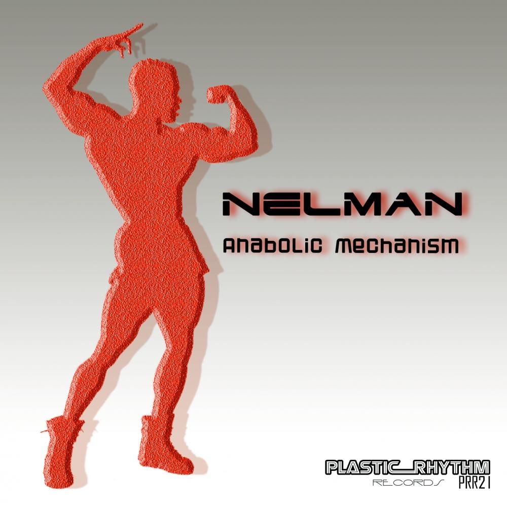 Anabolic Mechanism