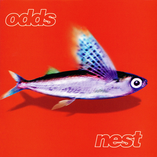 Nest