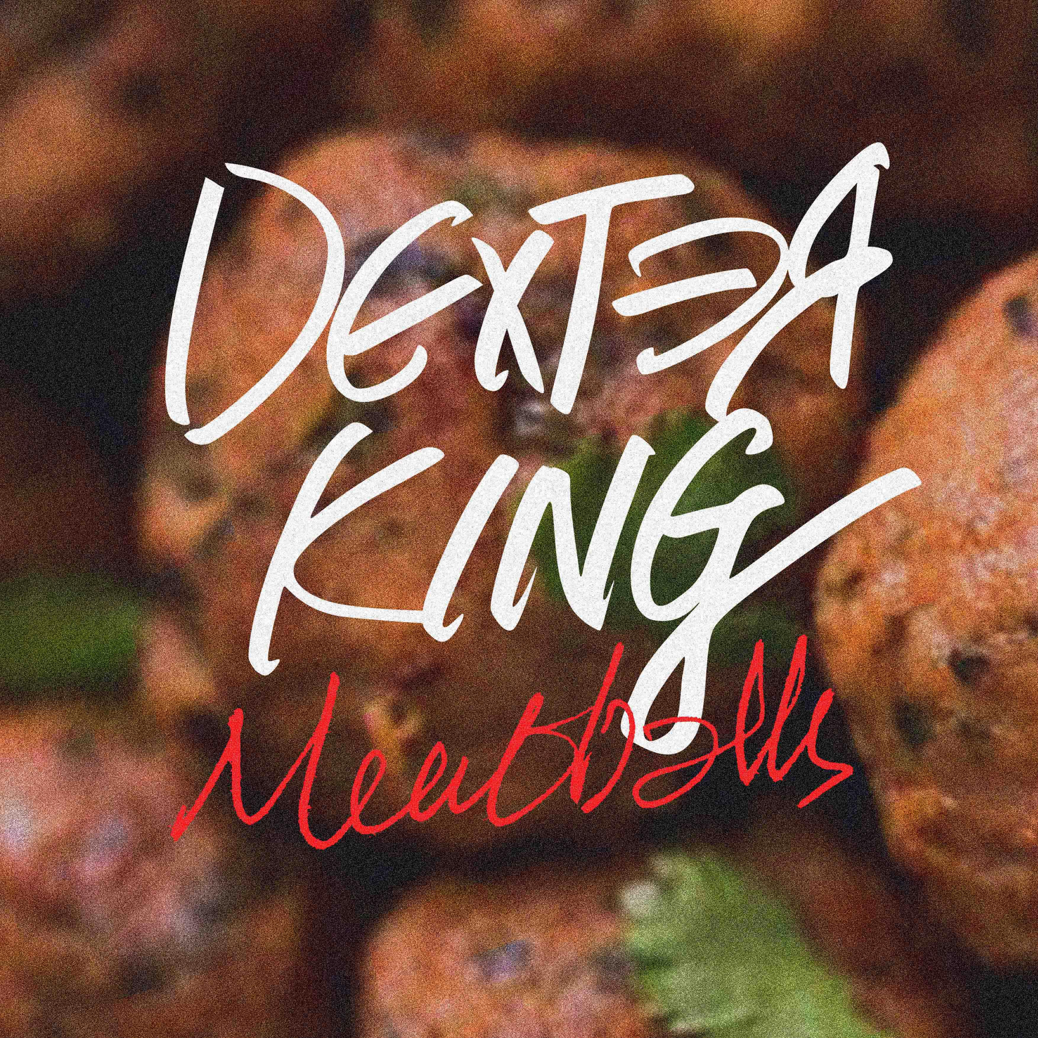 MEATBALLS 肉圆 [Mixtape #5]专辑