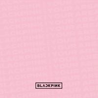 BLACKPINK - PLAYING WITH FIRE（官方无和声伴奏）