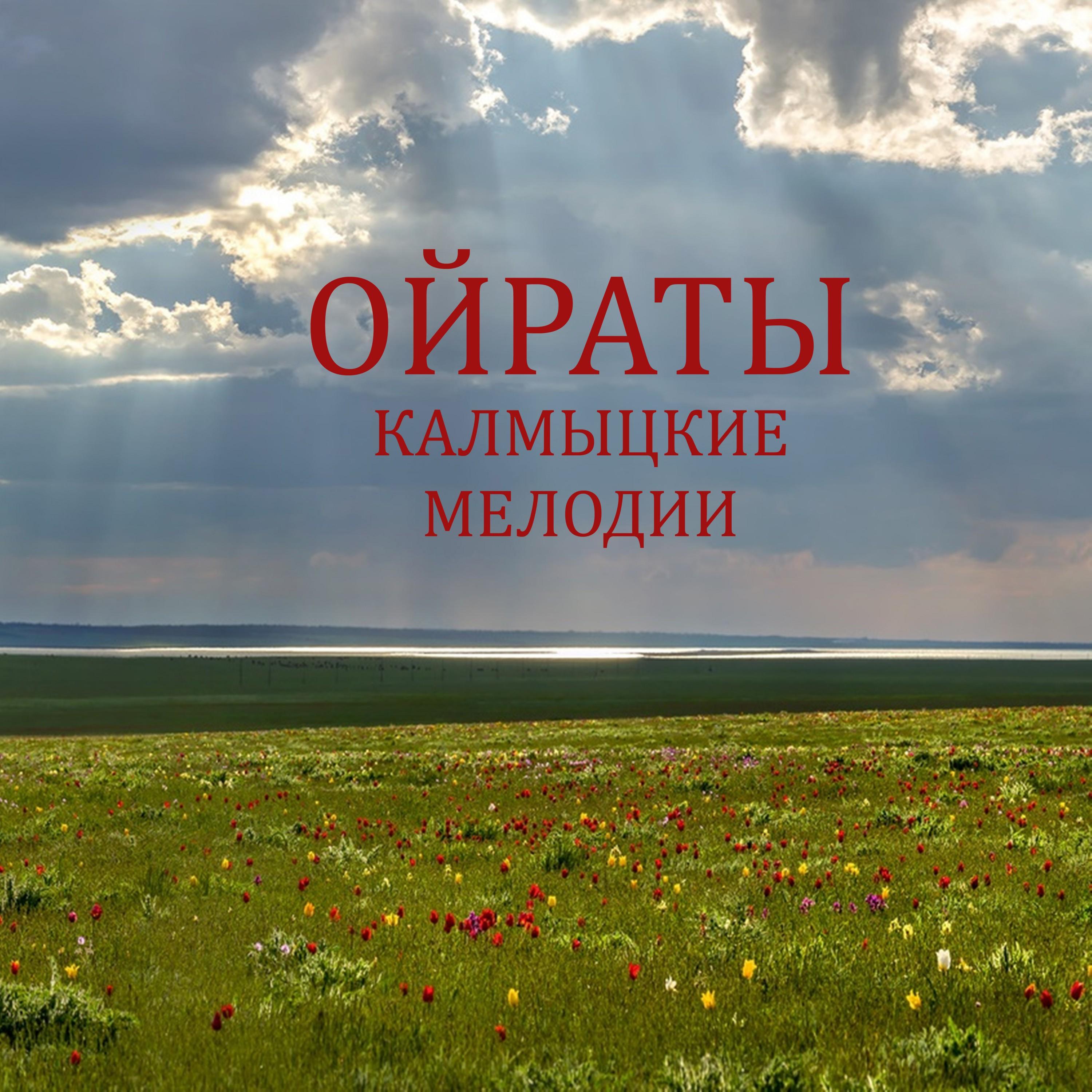 Купить копию сумки-ОчкиbalmainБальмАн