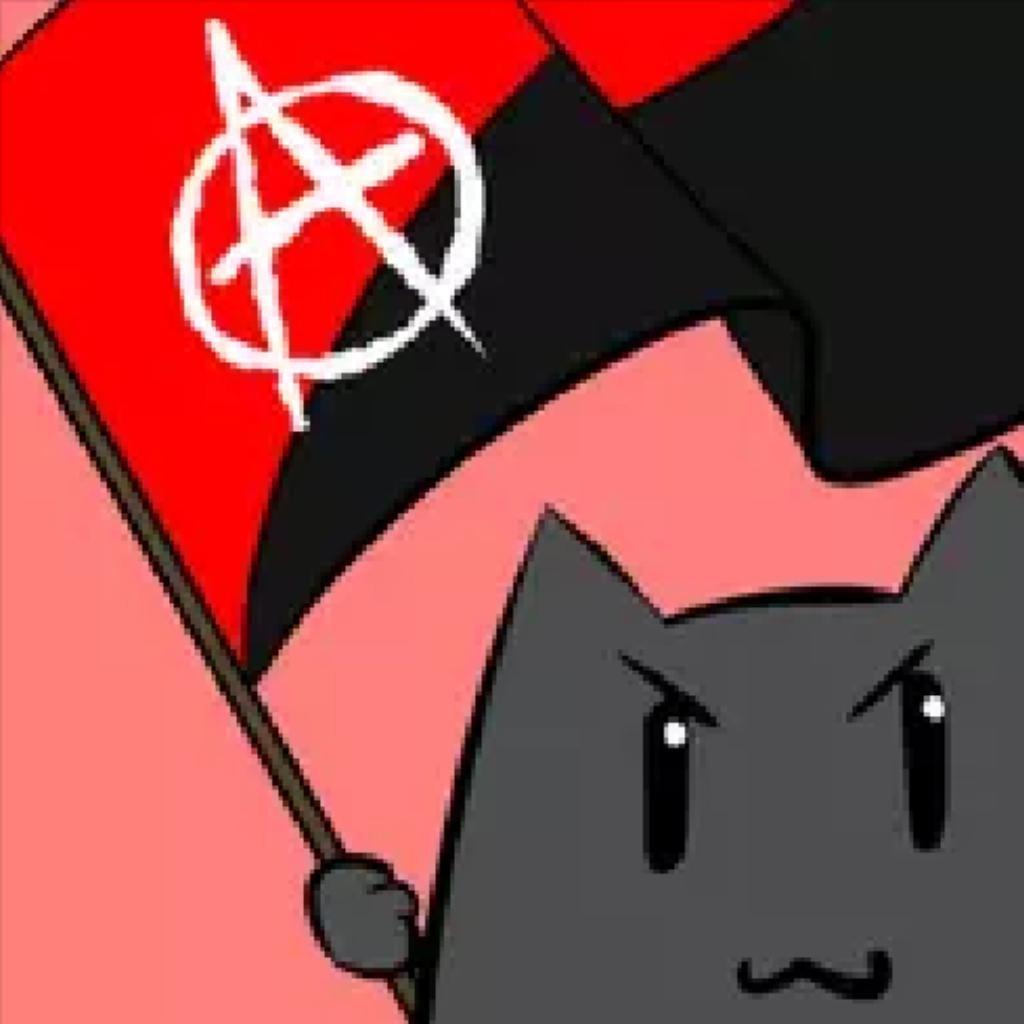 Die socialist