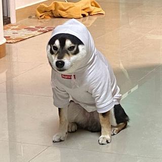 小李