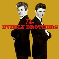 The Everly Brothers - Problems (Karaoke Version) 带和声伴奏