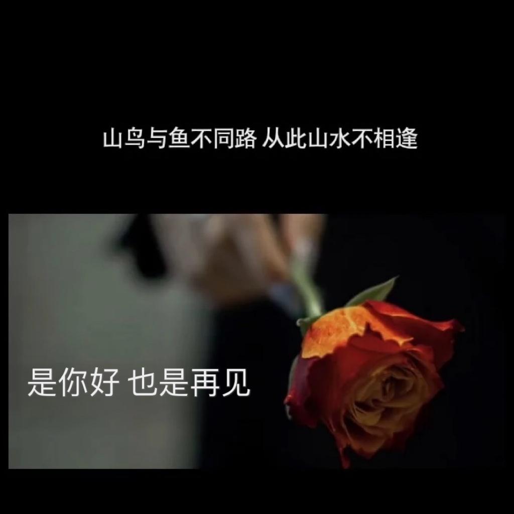 始于你好 终于再见