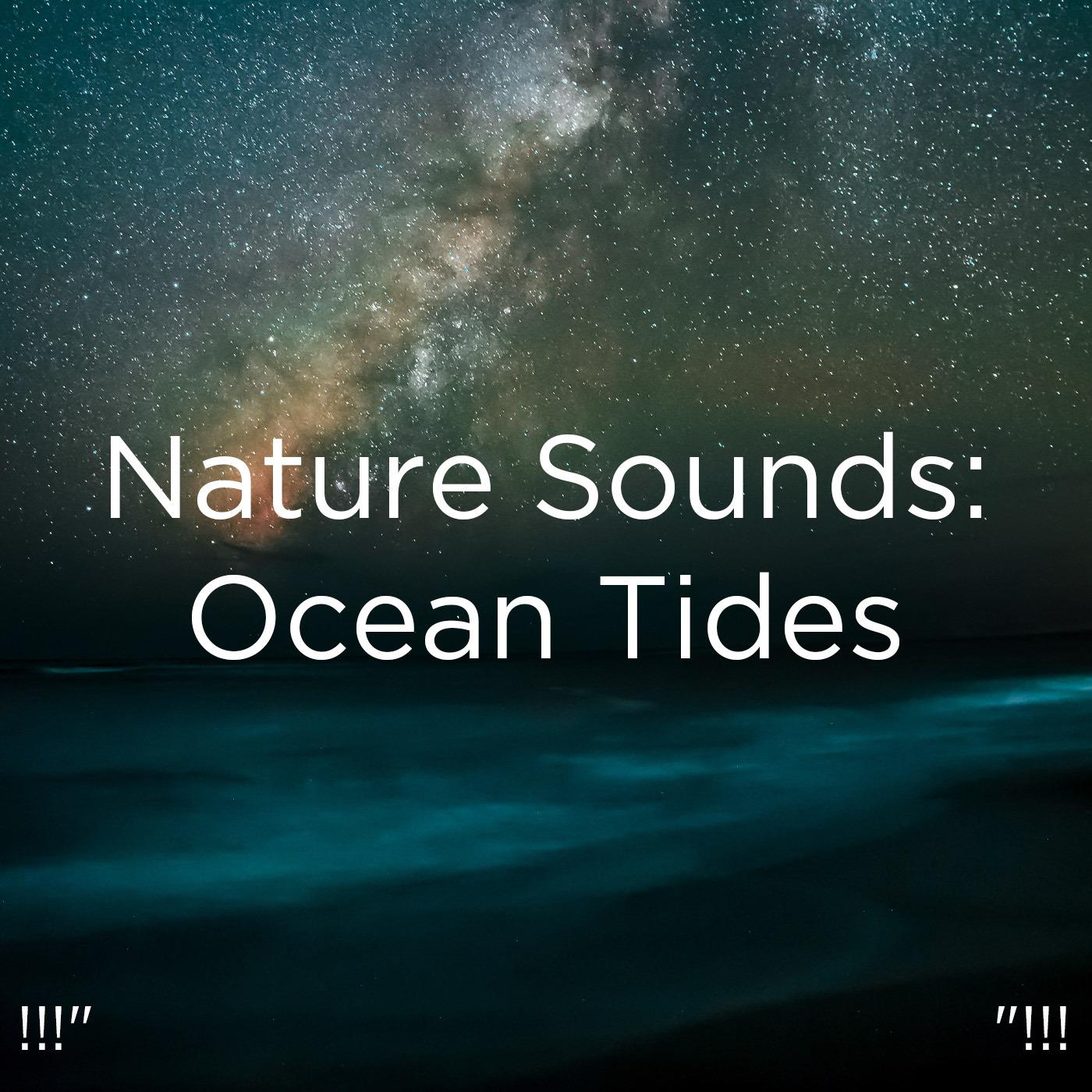 !!!" Nature Sounds: Ocean Tides "!!!