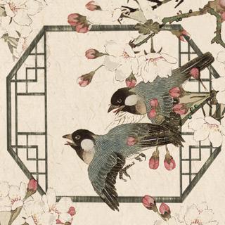 国风美少年 | 那些值得挖掘的惊艳原唱合集