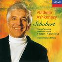 Schubert: Sonata in A, D959/4 Impromptus专辑