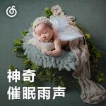 [神奇催眠雨声] 滴滴答答的雨声伴宝贝入眠