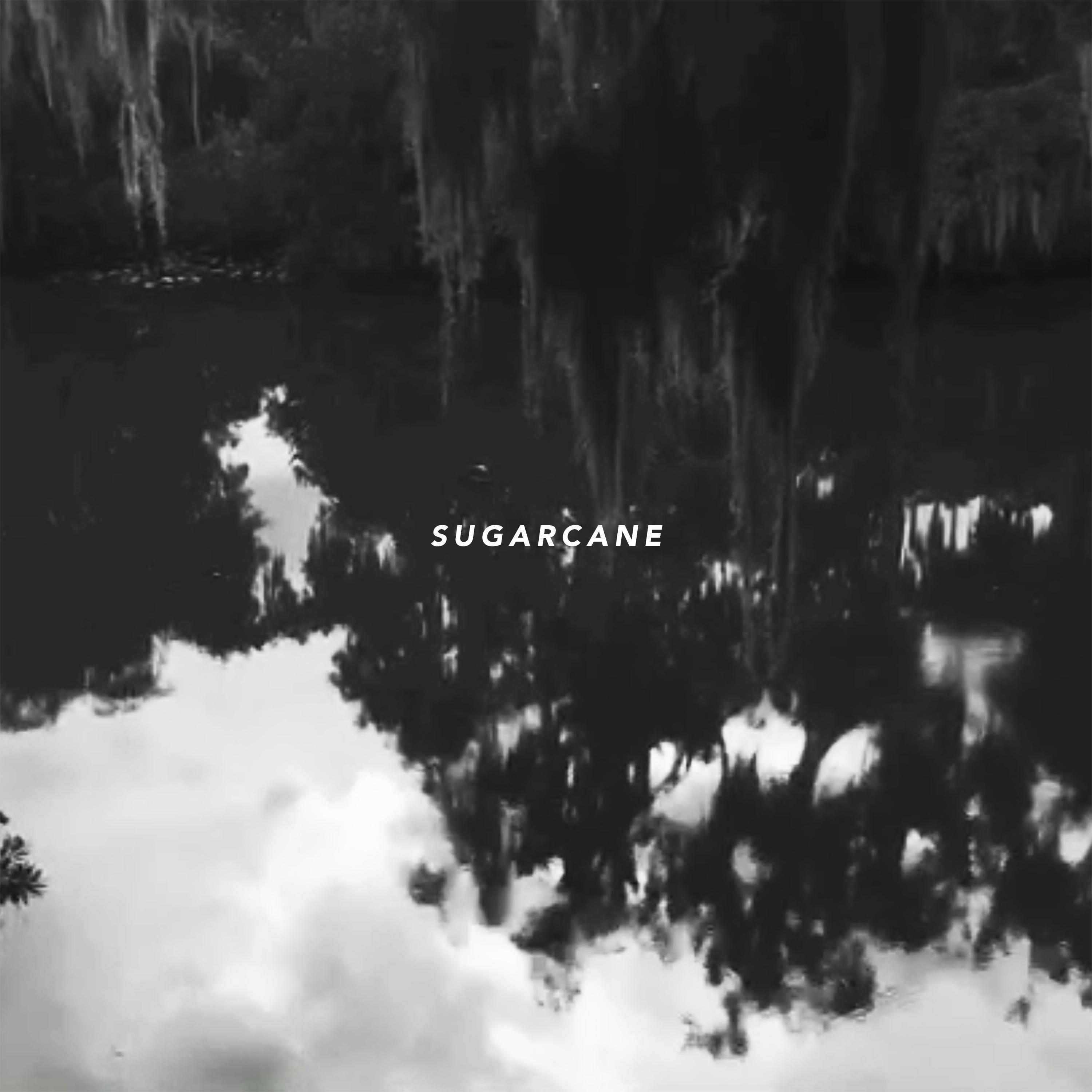 Sugarcane