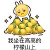 龙太Hikari - 柠檬精之歌