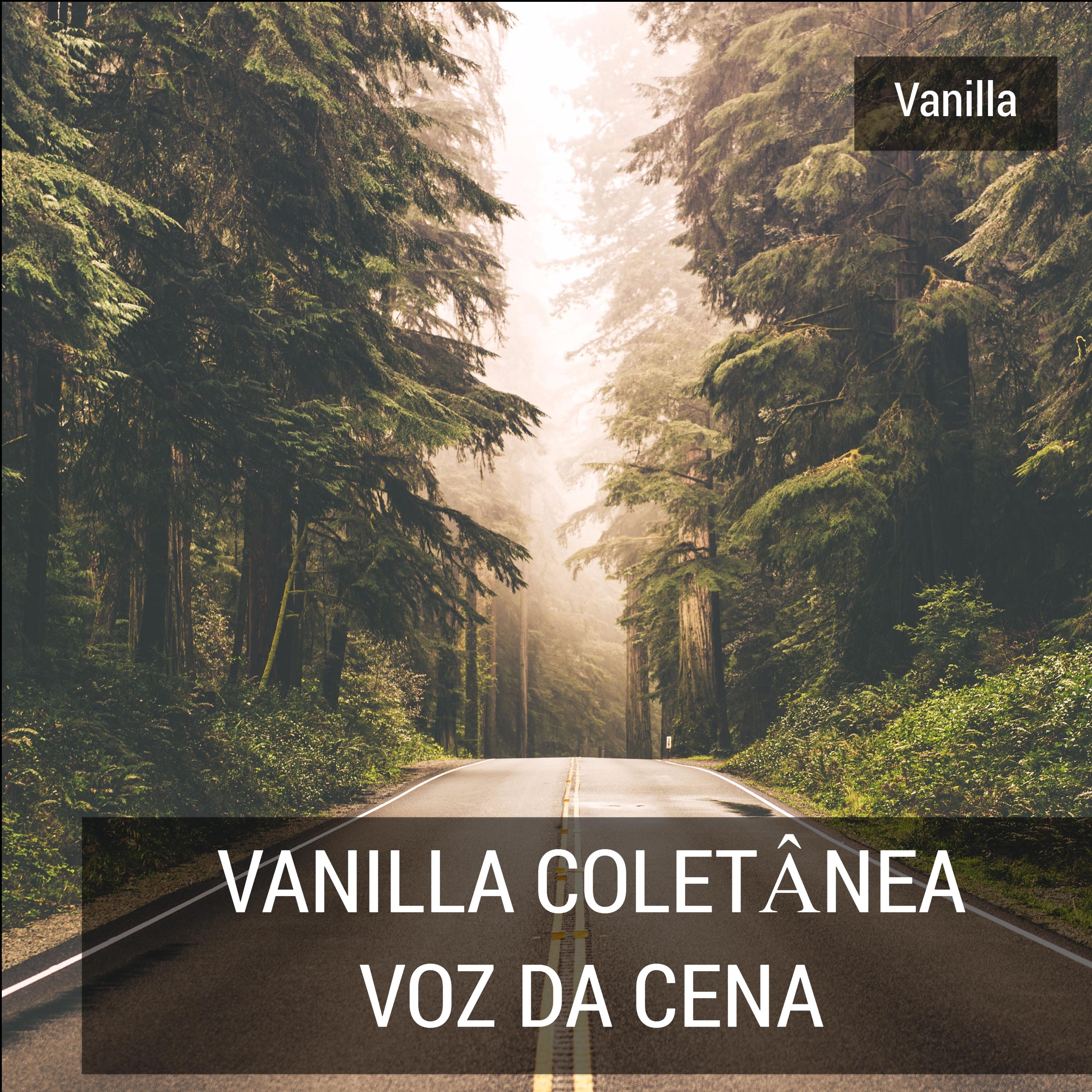 Vanilla Coletânea Voz Da Cena专辑