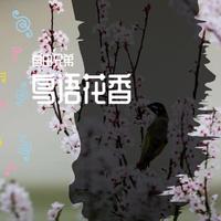 孙绳骥、郁柳 - 春三月和风轻鸟语花香