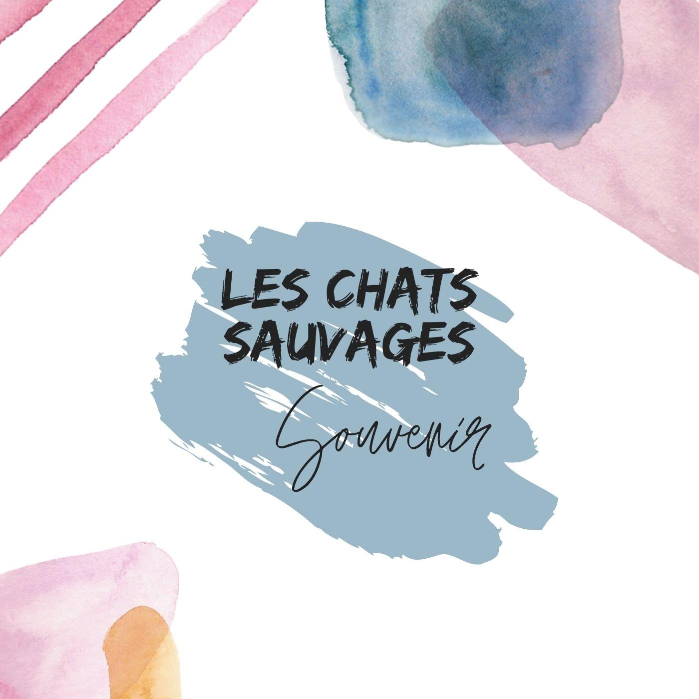 Les chats sauvages - souvenir