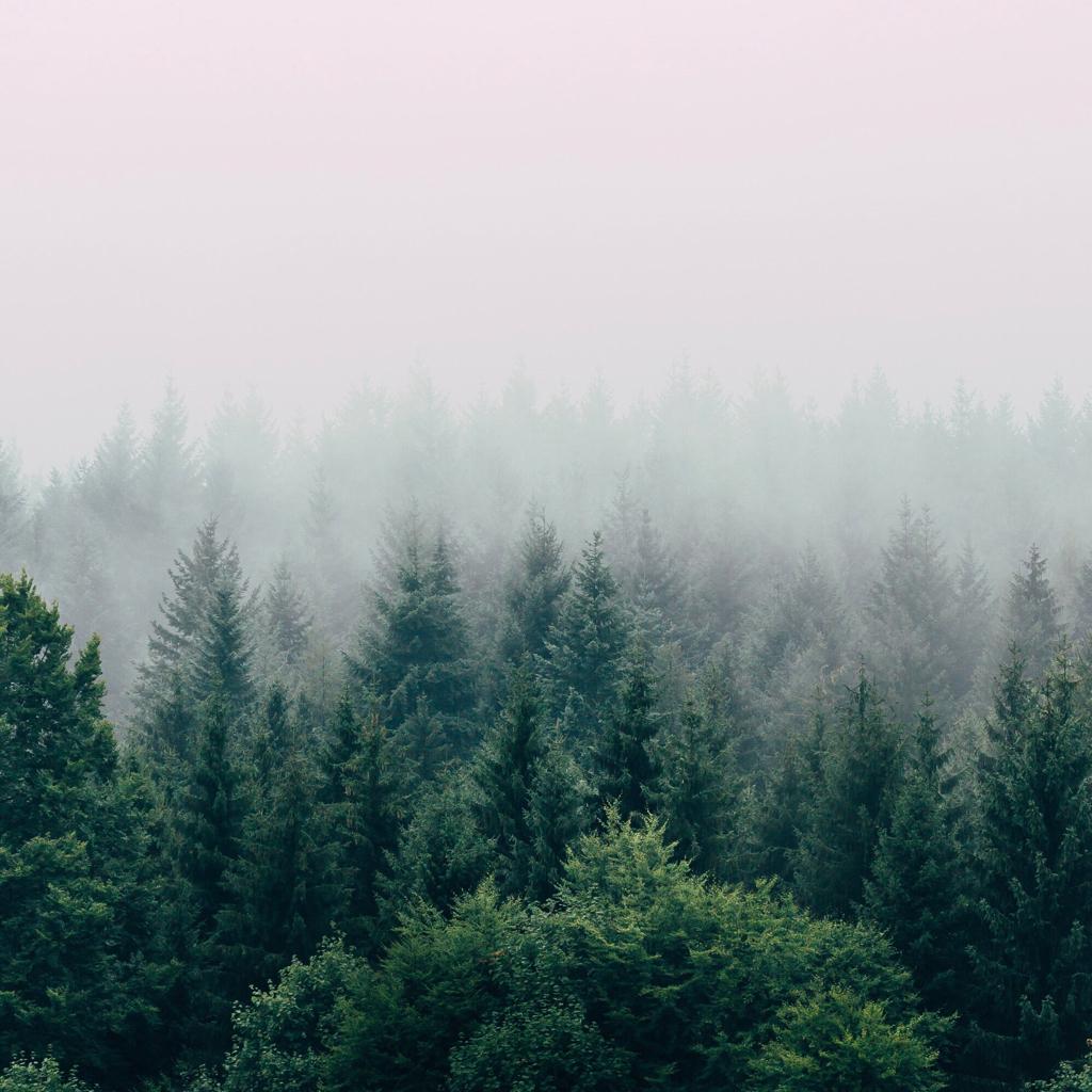 助眠药丸1.0｜雨/篝火/海/纯自然白噪