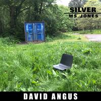 Silverbell - Barenaked Ladies (TKS Instrumental) 无和声伴奏