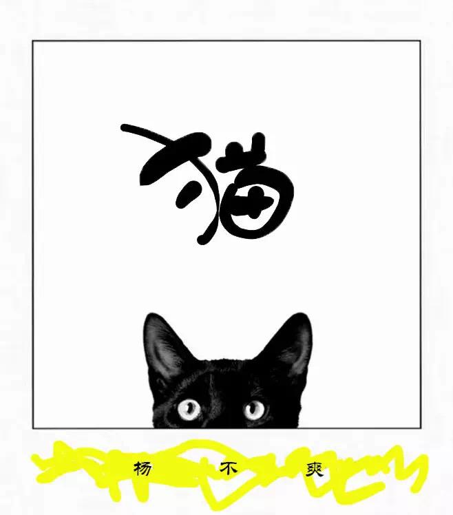 猫专辑