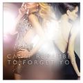 Can't Remember to Forget You - Single