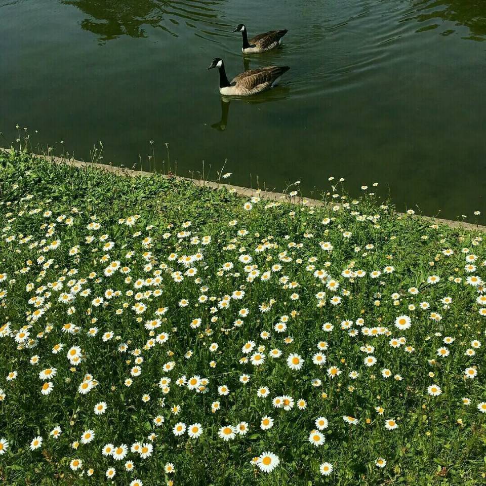 F. Physical-La Banda（废博 remix）