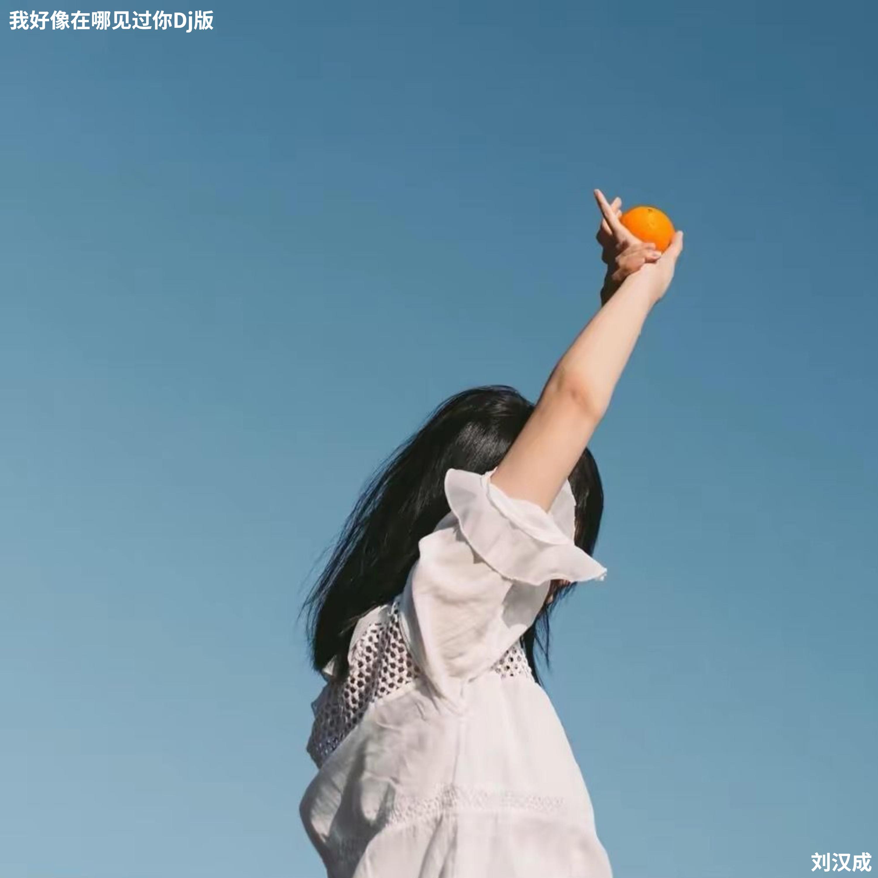 刘汉成 - 当海阔天空遇上鲸落(Dj版)