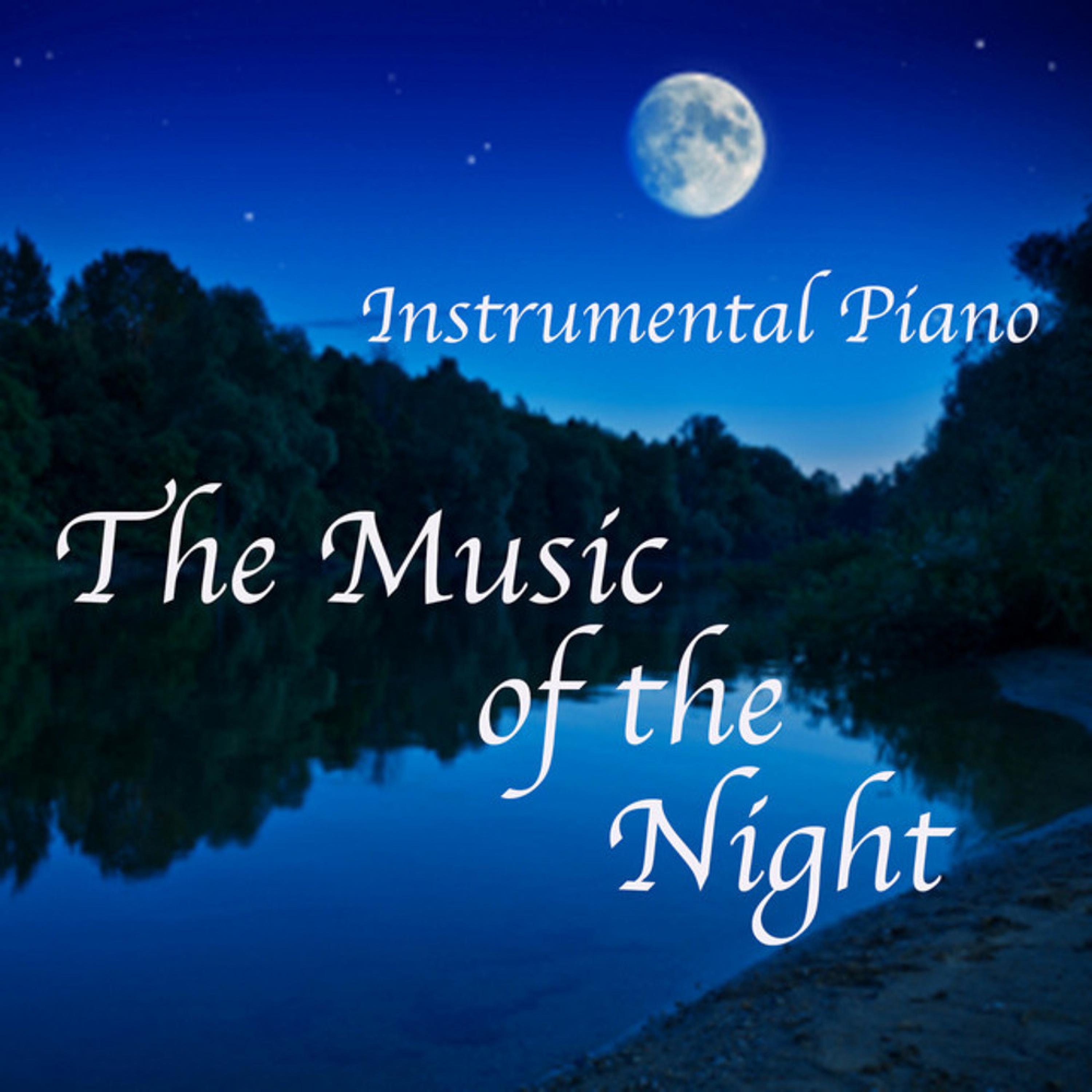 Instrumental Piano: The Music of the Night
