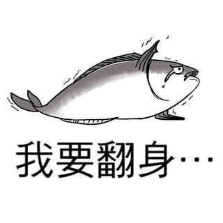 纯音乐｜本人学习歌单（十）