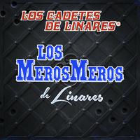 Los Cadetes De Linares - Mandato Divino (karaoke)