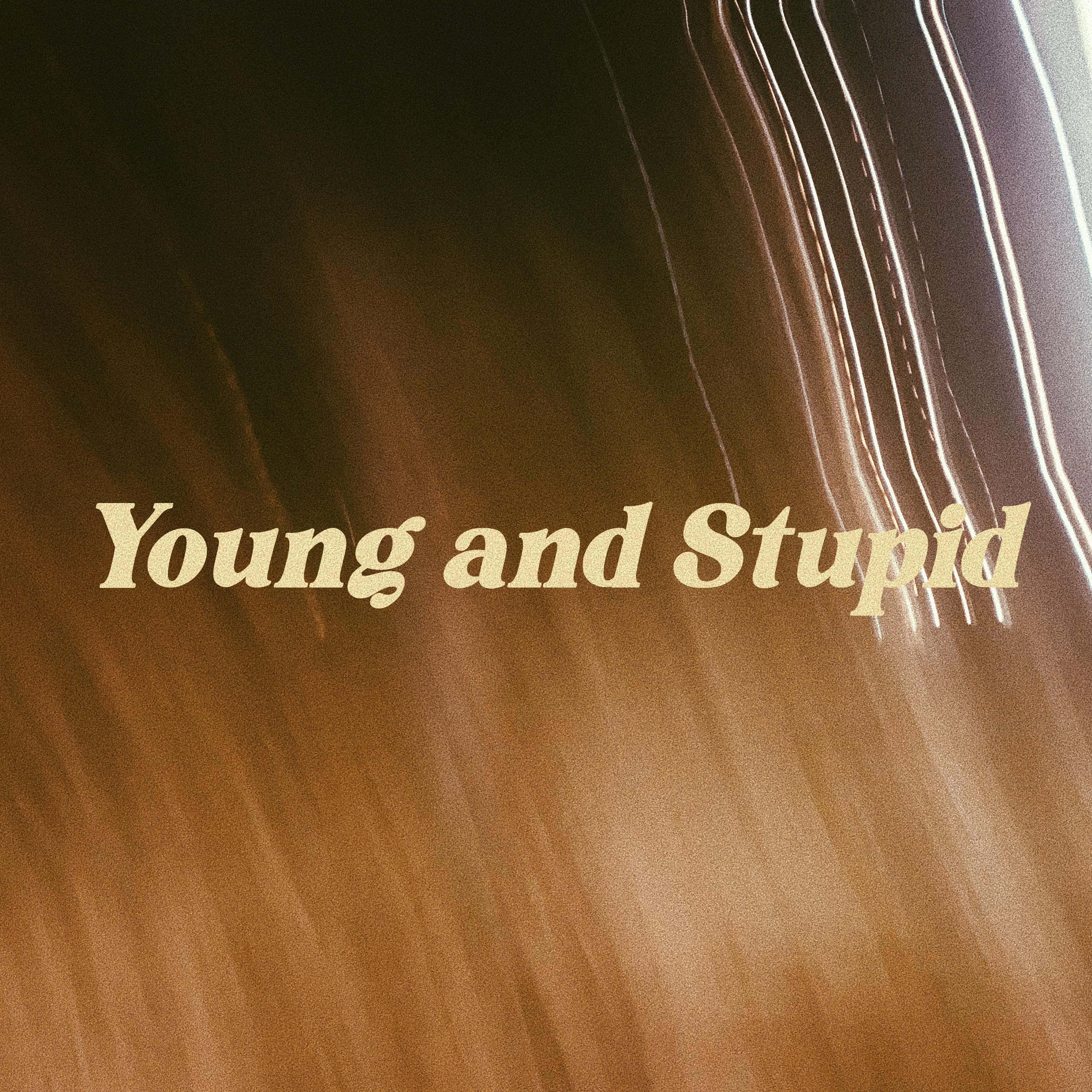 Young and Stupid专辑