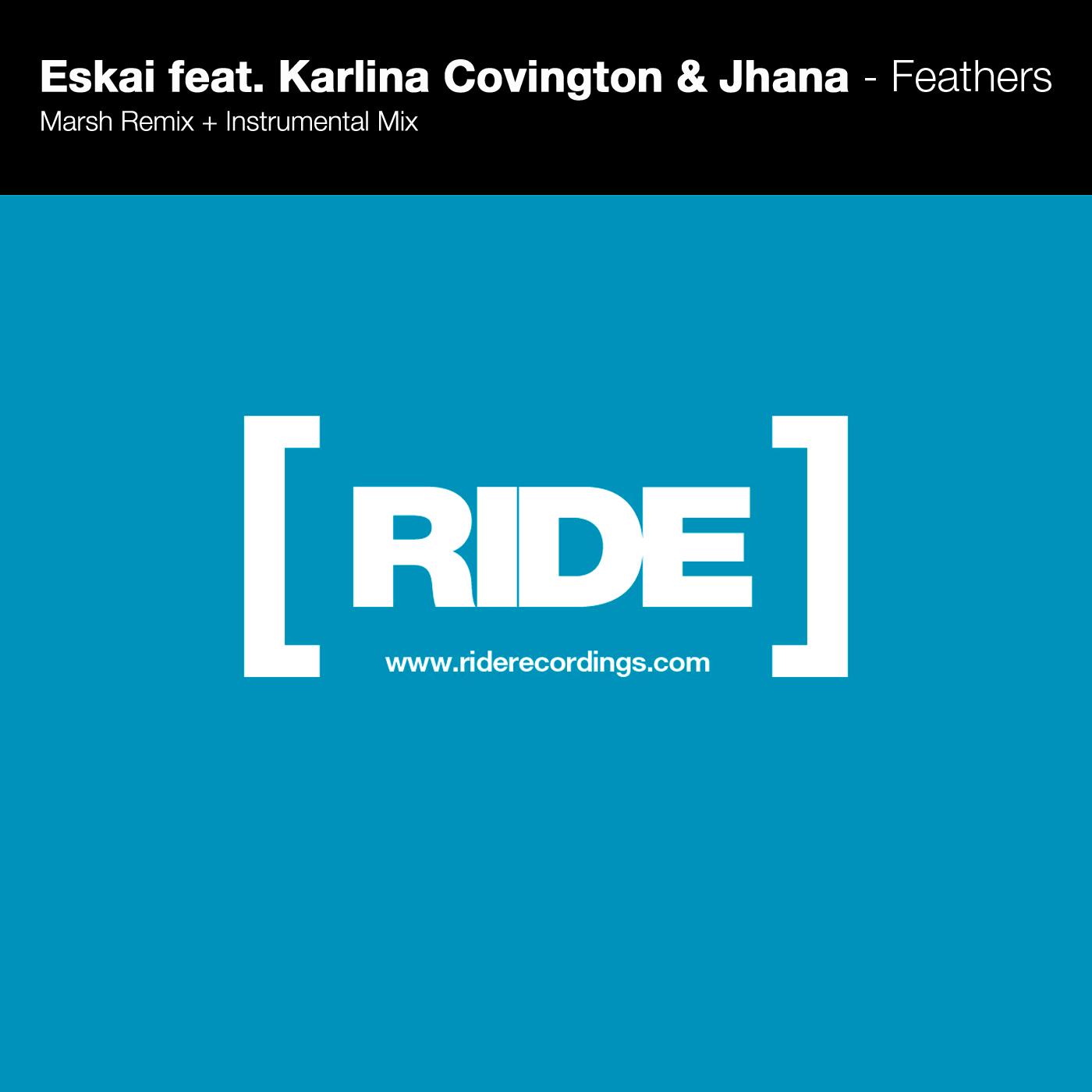Feathers (Remixes)