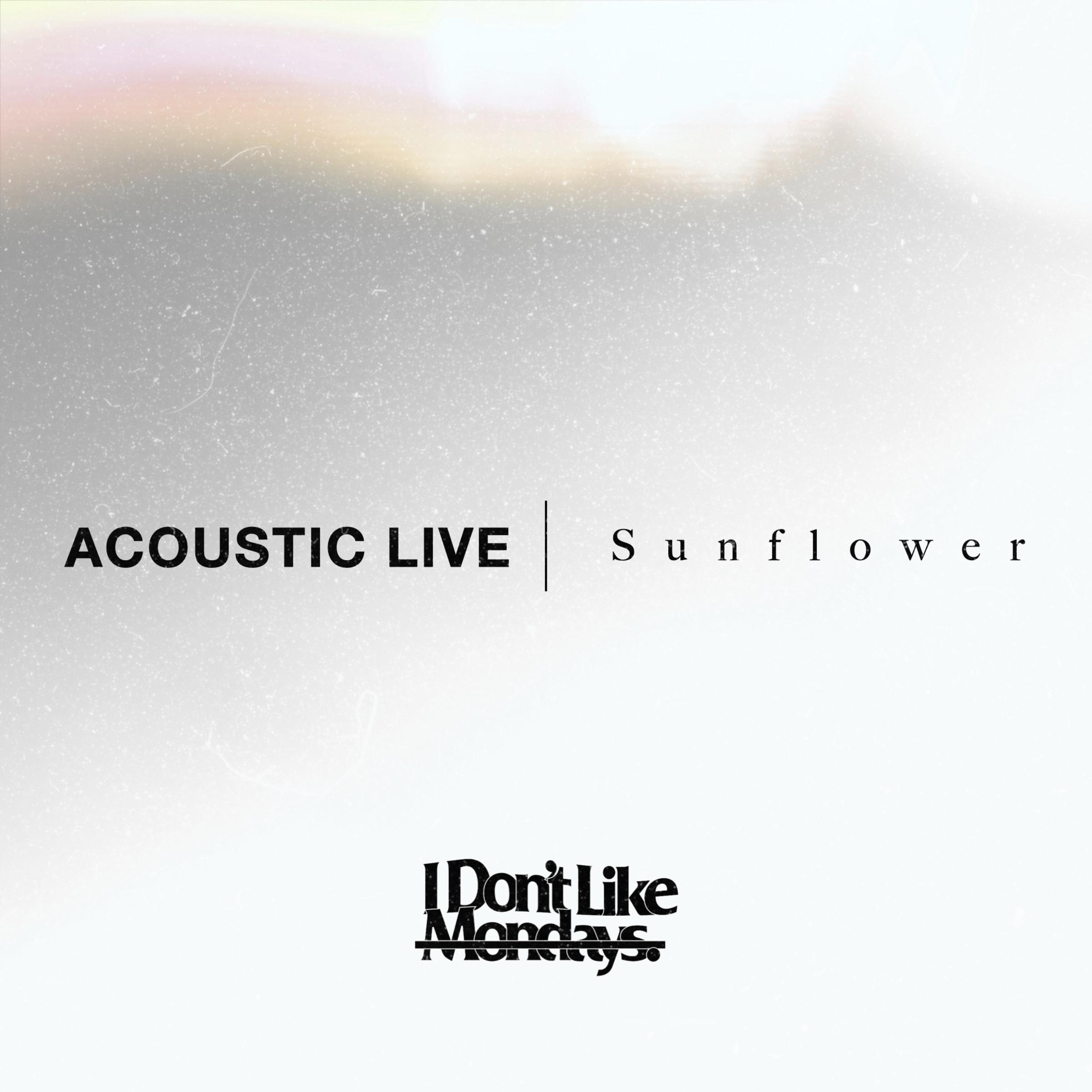 I Don't Like Mondays. - Sunflower (Acoustic Live Ver.)